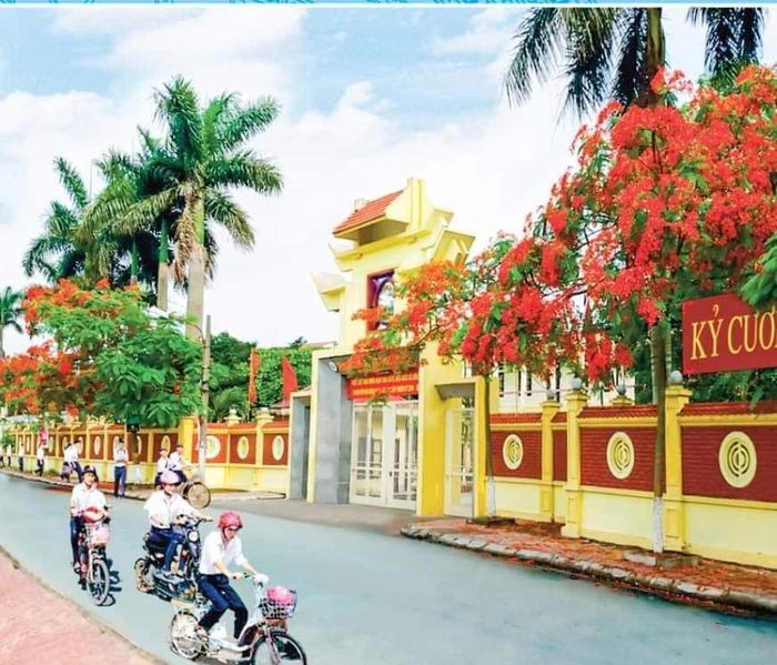 Hình ảnh ấn tượng về Trường THPT Vĩnh Bảo - Hải Phòng