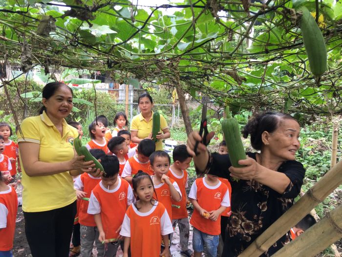 Hình ảnh Trường mầm non Hùng Vương - Không gian học tập hiện đại với thiết kế mở, hòa mình cùng thiên nhiên, tạo cảm hứng học tập cho trẻ mỗi ngày.