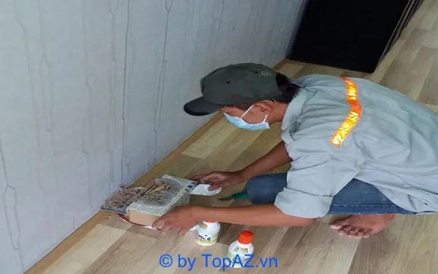 Dịch vụ diệt mối tại Đà Nẵng