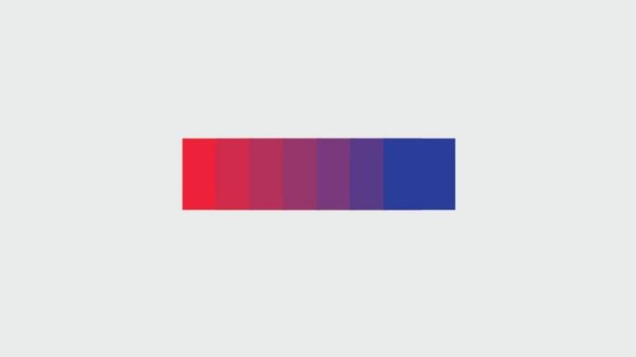 Hoàn thiện quy trình tạo palette màu bằng Blend Tool