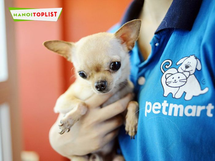 pet-mart-dich-vu-trong-giu-thu-cung-ha-noi-chat-luong-Mytour