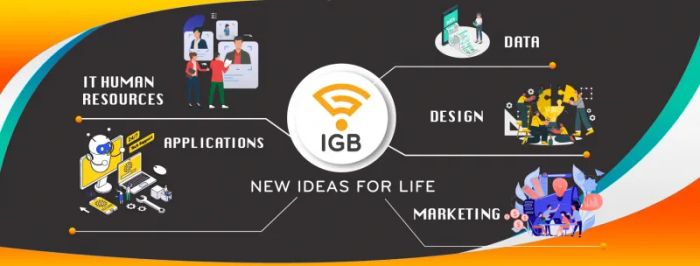 Công ty cổ phần IGB hình ảnh 1