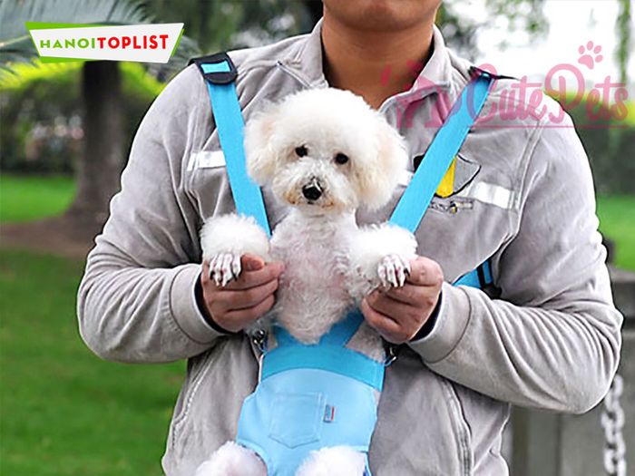 cutepets-he-thong-cua-hang-thu-cung-chat-luong-Mytour