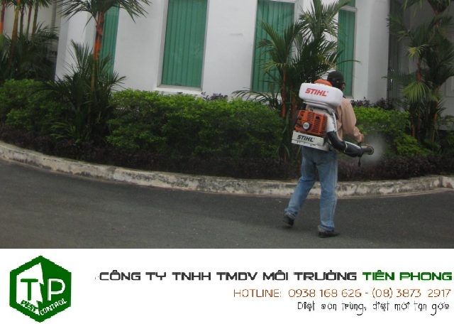 Công ty diệt mối tại huyện Nhà Bè chất lượng, uy tín