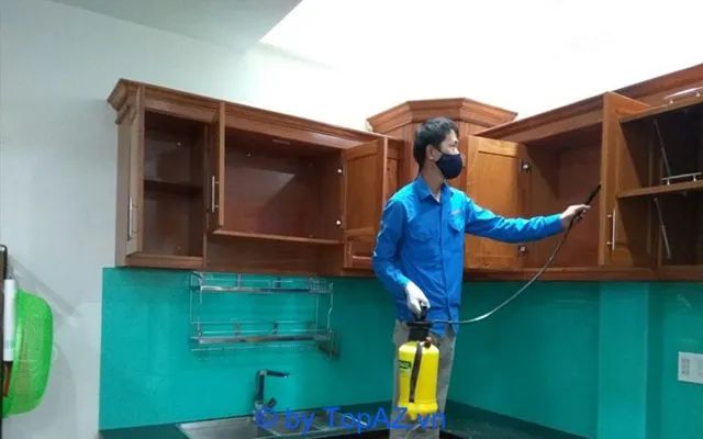 Dịch vụ diệt mối tại Đà Nẵng