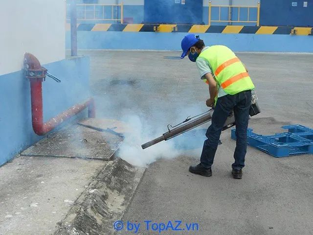 Dịch vụ diệt mối tại Đà Nẵng