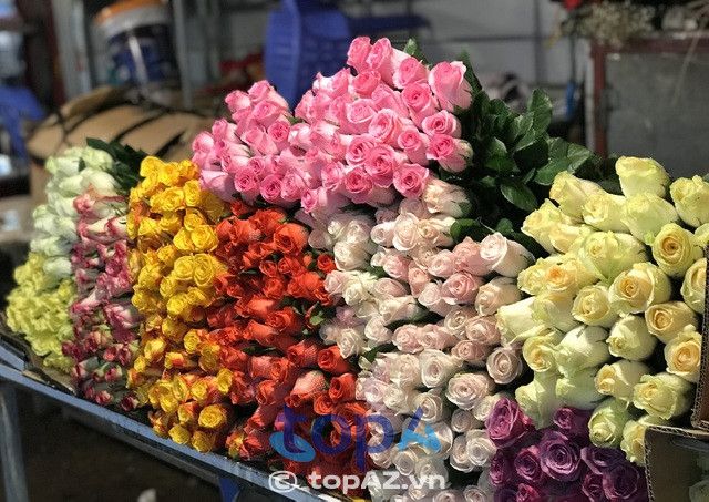Hoa tươi Kim Sen tại Nhơn Trạch