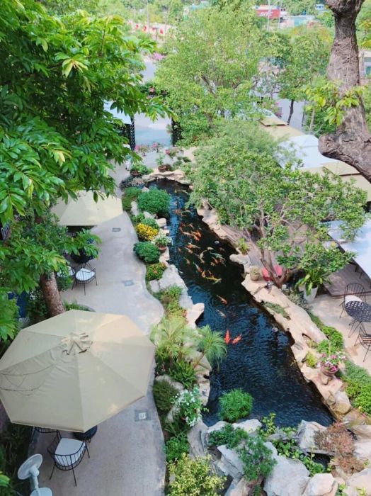 Hồ cá Koi rực rỡ tại Chyba Cafe