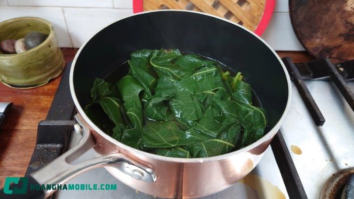 huong-dan-che-bien-nuoc-la-sung-2