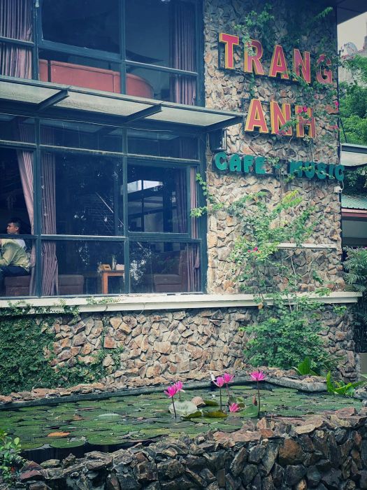 Hồ cá Koi và hoa súng thơ mộng tại Trang Anh Cafe