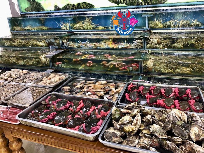 Hải Sản Biển Đông ảnh 1