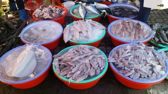 Cảnh sinh hoạt nhộn nhịp tại Chợ hải sản Cố Đạo
