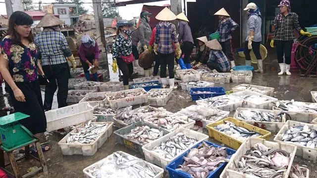 Khung cảnh nhộn nhịp tại Chợ cá Ngọc Hải