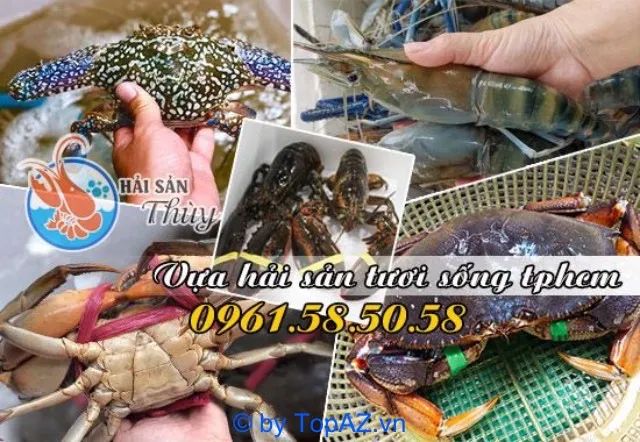 Điểm đến lý tưởng cho tín đồ hải sản tươi sống tại TP.HCM