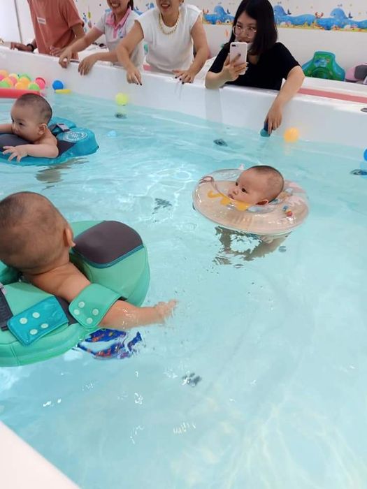 Aquabear - Dịch vụ bơi thủy liệu bơi sinh tồn Hải Phòng (ảnh 1)