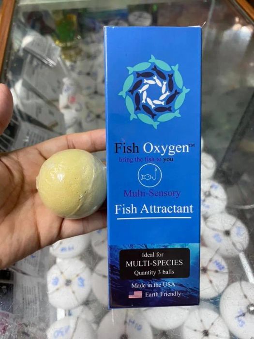 Đồ câu cá Xuân Quỳnh - Khoảnh khắc đẹp qua ảnh số 2