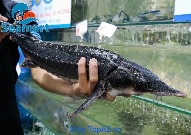 Hải sản tươi ngon - Giá thành phải chăng