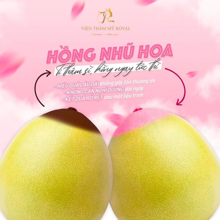 Không gian hiện đại và sang trọng tại Viện Thẩm Mỹ Quốc Tế Royal