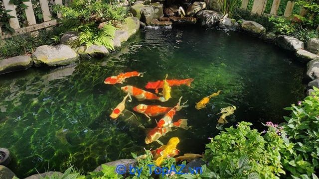 Công ty Lộc Phát Đồng Nai - Cây Xanh Biên Hoà