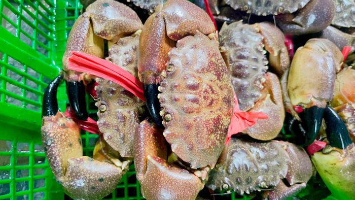 Hình ảnh Hải Sản Trung Kiên