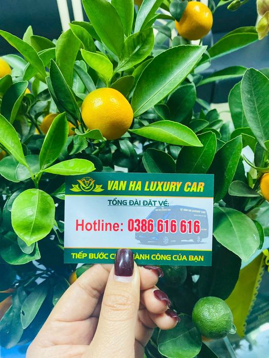 Hình ảnh đội xe cao cấp Vân Hà Luxurycar (ảnh 2)