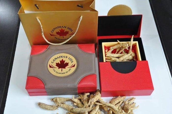 Đến với thiên đường nhân sâm Canada tại Vita - Điểm vàng cho sức khỏe vàng