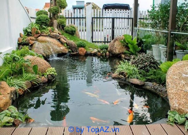 Dịch vụ thi công hồ cá koi tại Đồng Nai