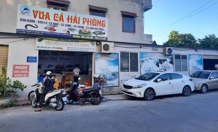 Hình ảnh Vua Cá Hải Phòng