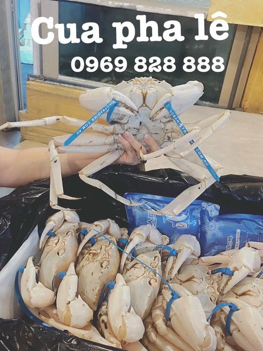 Hình ảnh 2 về Siêu Thị Hải Sản Lương Sơn