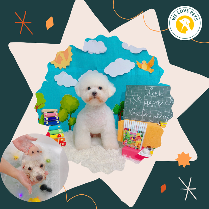Phòng nghỉ tiêu chuẩn 5 sao tại We Love Pets