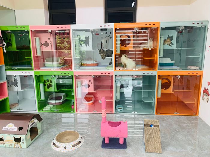 Khu vui chơi giải trí tại We Love Pets