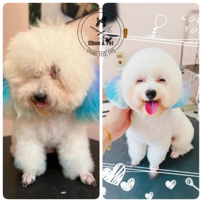 Khu vực nghỉ ngơi cao cấp tại Chun & Pet