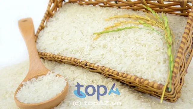 Khám phá thế giới gạo phong phú tại các đại lý uy tín Hà Nội