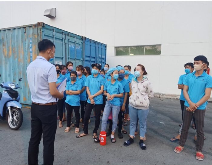 Hình ảnh đội ngũ Kiến Vàng 247 trong quá trình hỗ trợ doanh nghiệp (ảnh 1)
