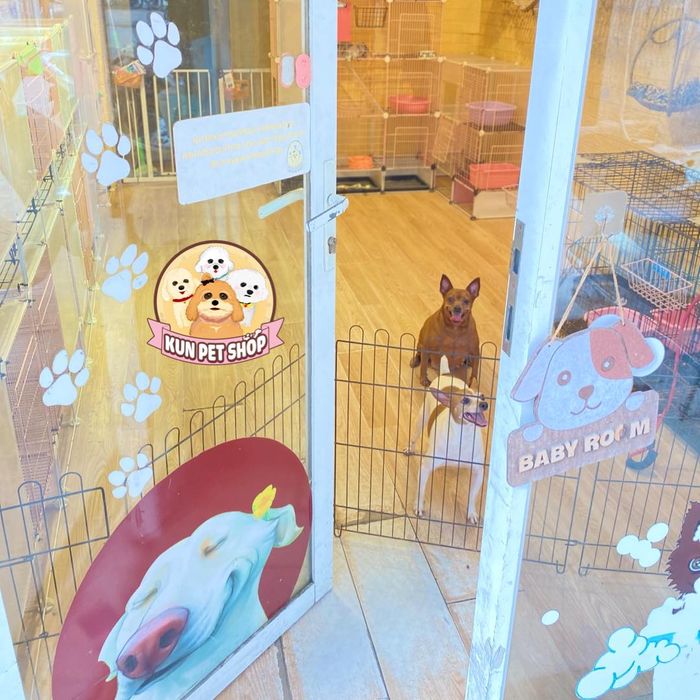 Không gian nghỉ dưỡng cao cấp tại Kun Pet Shop