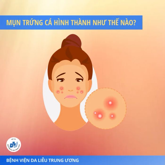 Bệnh viện Da liễu Trung ương - Ảnh 2