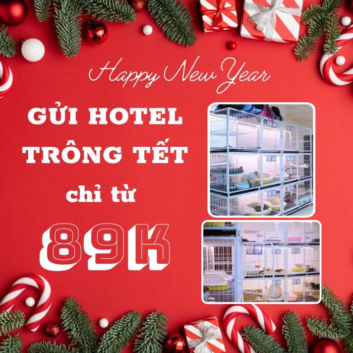 Không gian sang trọng tại Chun & Pet