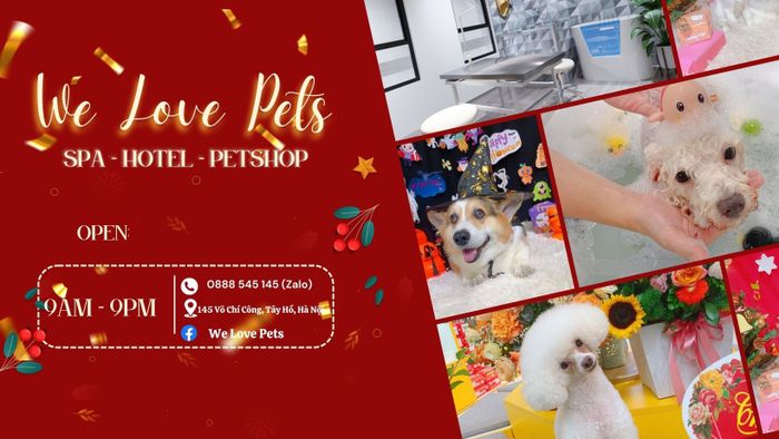 Không gian sang trọng tại We Love Pets