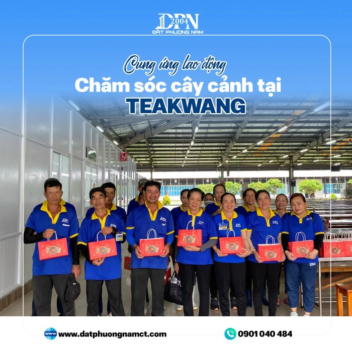 Hình ảnh thực tế thi công của Đất Phương Nam