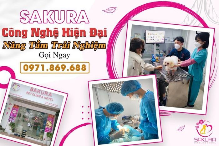 Khu vực khám chữa bệnh tiêu chuẩn tại Sakura Pet Clinic & Hotel