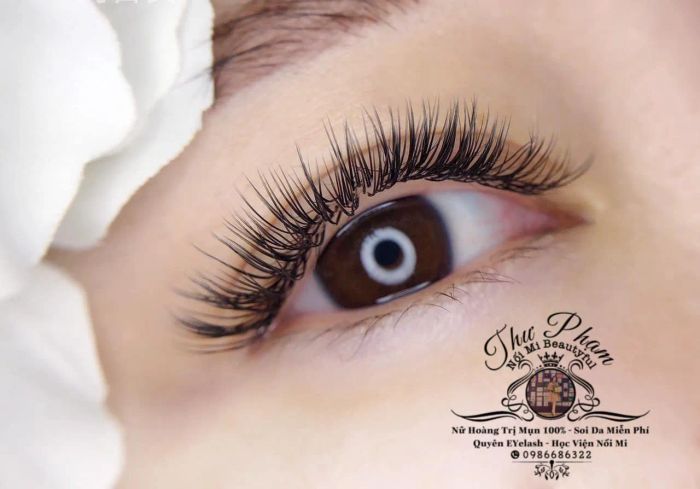 Quyên Eyelash - Bộ ảnh thực hành nối mi chuyên nghiệp