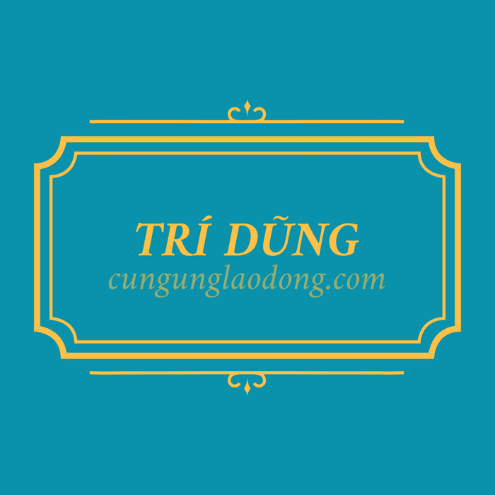 Hình ảnh tiêu biểu về hoạt động cung ứng nhân lực tại Trí Dũng (ảnh 1)