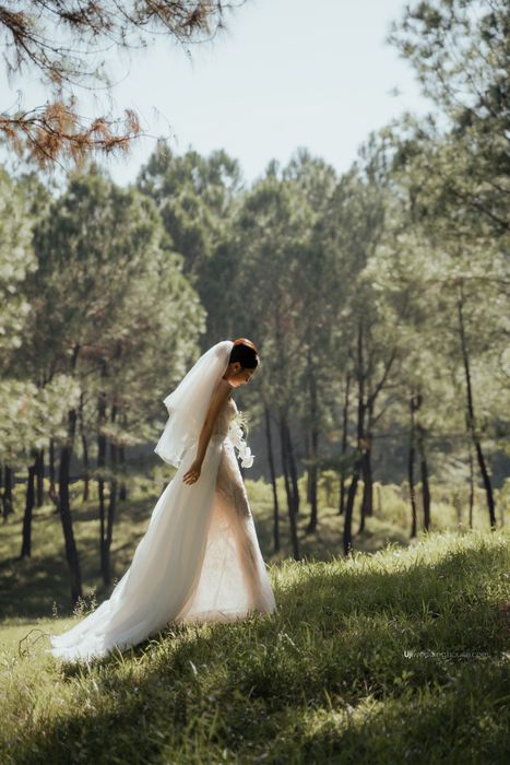 Tác phẩm 1 - Uji Wedding House: Ánh sáng và tình yêu hòa quyện
