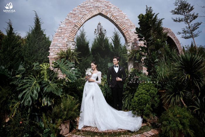 Mimosa Wedding ảnh 2