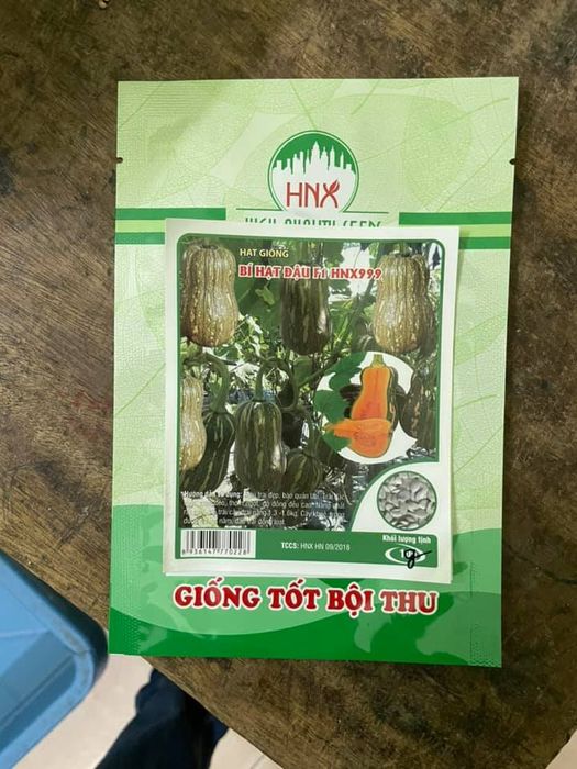 Hình ảnh thực tế vườn ươm của Hà Nội Xanh