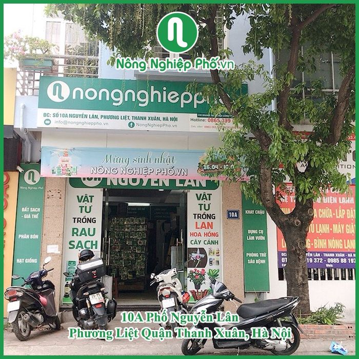 Quy trình đóng gói hạt giống chuẩn tại Nông Nghiệp Phố