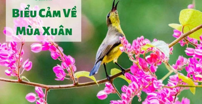Nguồn ảnh minh họa: Internet
