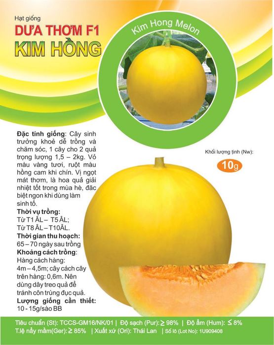 Vườn ươm thực nghiệm các giống cây mới tại Giống Mới