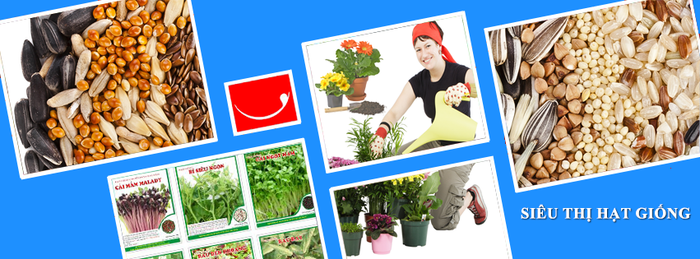 Hệ thống đóng gói hiện đại tại Đức Thắng