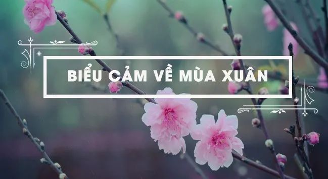Nguồn ảnh minh họa: Internet